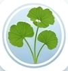 Brahmi