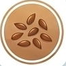 Flax Seeds