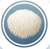 Lion's Mane