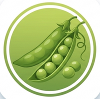 Pea Protien