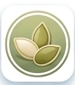 Pumpkin Seeds
